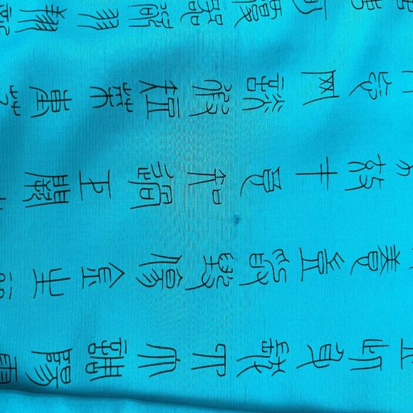 Chicos Turquoise Asian Art-to-Wear Characters Silk Jacket Blazer size 3 - Picture 7 of 11